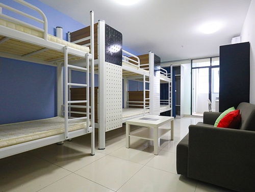 定制学校员工厂学生公寓组合床宿舍上床下桌三人位连体公寓床